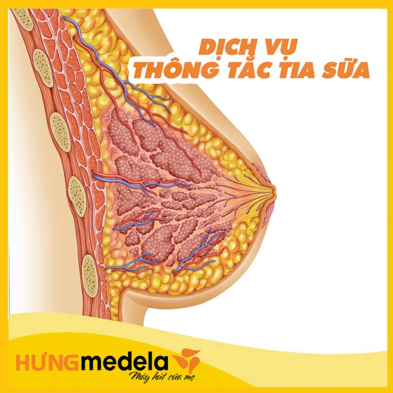 Hưng Medela – Máy hút sữa mẹ